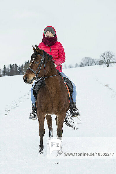 Young woman riding a horse in winter  Bavaria  Germany