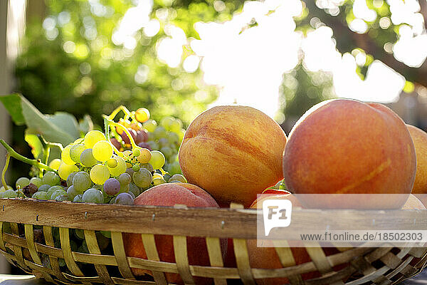 Summer peach and grape harvest