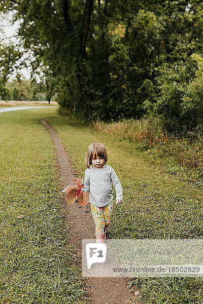 young girl walking on dirt trail holding red leaves in hand