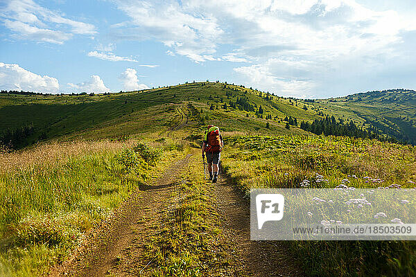 traveler with red backpack walking on carpathian mountain meadows