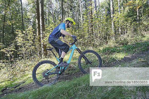 Mountain biker riding uphill on forest track  Bavaria  Germany