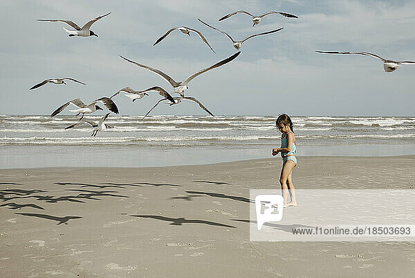 Little girl and seagulls on beach in Corpus Christi Texas