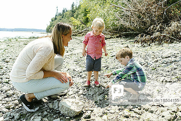 Side view of a family exploring a rocky beach together on a sunny day