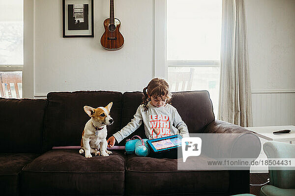 Young girl petting corgi puppy while playing tablet on couch