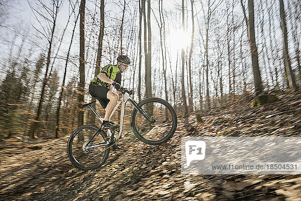 Mountain biker riding uphill on forest track