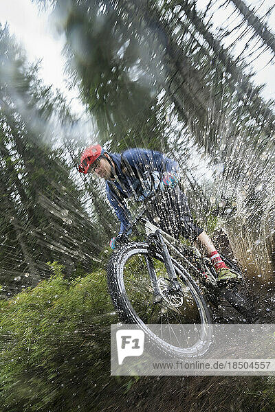 Mountain biker rides through a puddle in forest on rainy day  Saalfelden  Tyrol  Austria