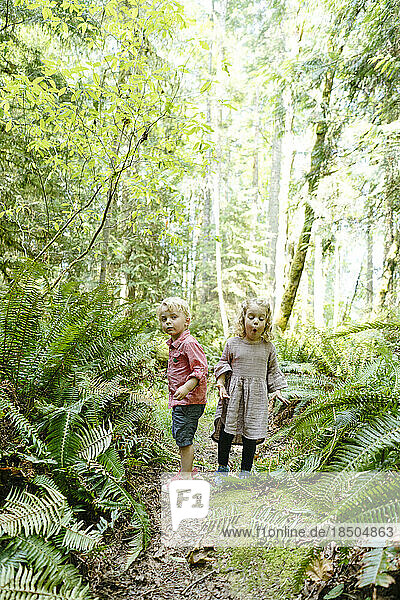 Straight on view of two young children hiking through the forest