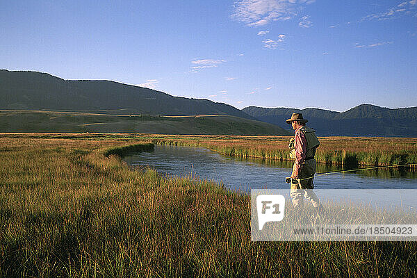 A fly-fisherman walks the banks of a trout stream in Jackson Hole  Wyoming.