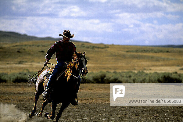 Cowboy riding horse on the dusty prairie of Billings Montana