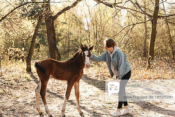 Young woman petting little horse foal outdoors in forest