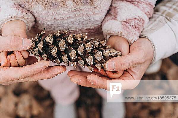 Dad and baby daughter holding a pine cone