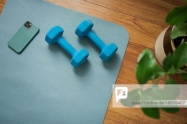In Home Workout Space with Dumbbells Near Plant on Yoga Mat Near Phone