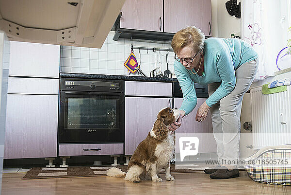 Old woman stroking her pet dog in kitchen
