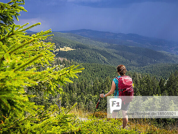 Women hiker looking at view of mountain landscape at Col de la Schlucht In the Vosges  Alsace  France