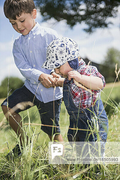 Small boy holding hand of his brother through a meadow in the countryside  Bavaria  Germany