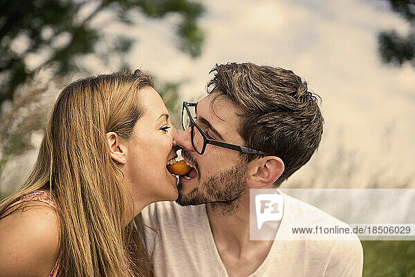 Mid adult couple biting peach together in the countryside  Bavaria  Germany