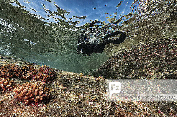 diver exploring rocky shore in the clear water of the Gulf of Thailand