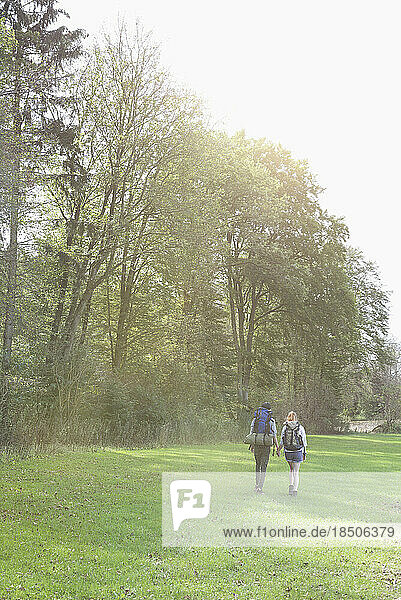Young couple hiking with backpack in a forest  Bavaria  Germany