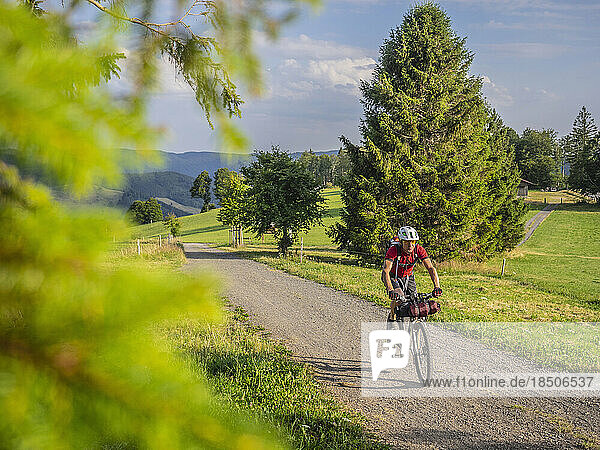 Mountain biker Riding on country road near Todtnauberg  Baden-Württemberg  Germany