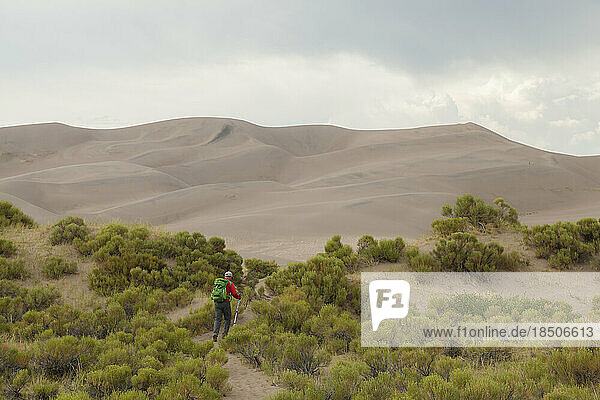 Man hikes through bushes towards sand dunes