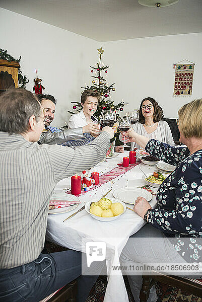 Family clinking wine glasses during Christmas celebration at home