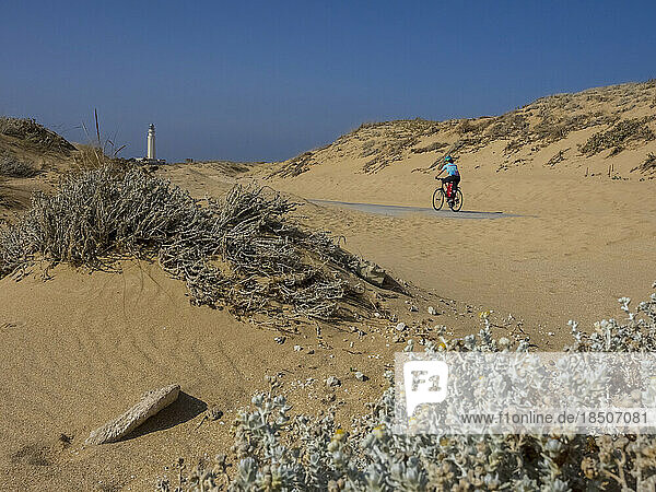 Rear view of woman cycling on road by sand dune
