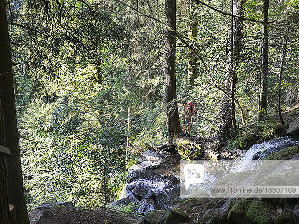 Male hiker by stream in Black Forest  Baden-Württemerg  Germany