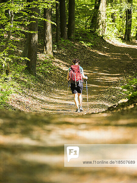 Woman hiking on footpath through forest near Mondhalde  Baden-Württemberg  Germany