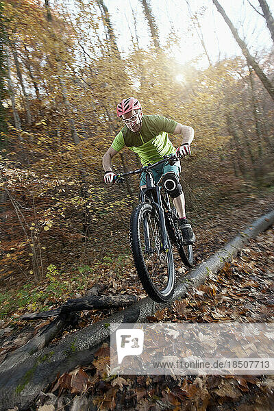 Mountain biker jumps over a tree trunk in forest  Bavaria  Germany
