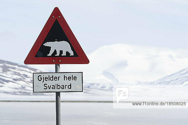 Norwegian road sign with polar bear