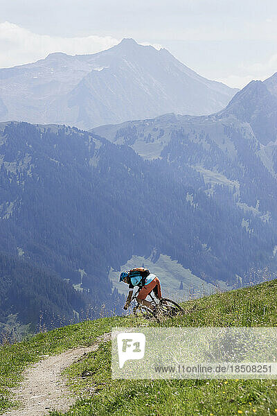 Mountain biker riding on downhill  Zillertal  Tyrol  Austria
