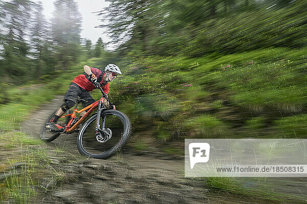 Mountain biker speeding on track through forest path  Trentino-Alto Adige  Italy