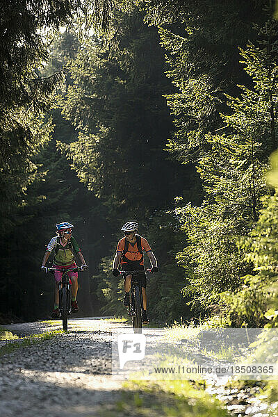 Two mountain bikers riding on dirt road through forest  Zillertal  Tyrol  Austria
