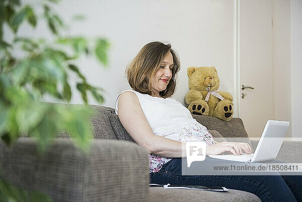Pregnant woman sitting on sofa and working on laptop  Munich  Bavaria  Germany