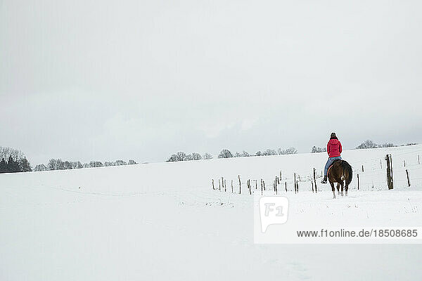 Rear view of a young woman riding a horse in winter  Bavaria  Germany