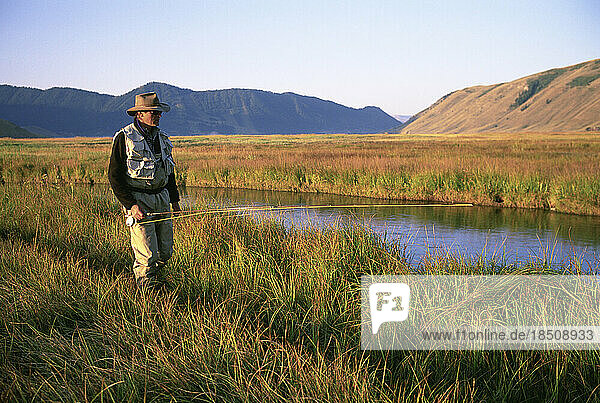 A fly-fisherman walks along a trout stream in Jackson Hole  Wyoming.