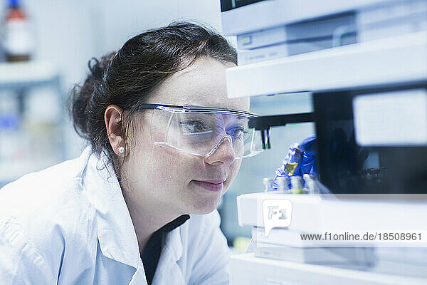 Young female scientist examining in a laboratory  Freiburg Im Breisgau  Baden-wuerttemberg  Germany