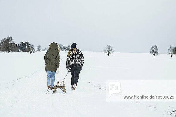 Two teenage girls with sled in snowy landscape in winter  Bavaria  Germany