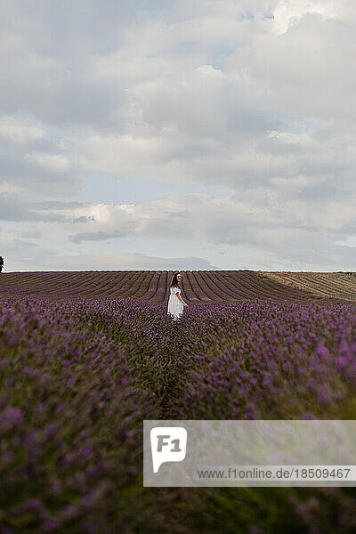Walking through the fields of an English lavender field