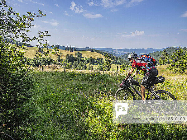 Mountain biker cycling through forest  near Todtnau  Baden-Württemberg  Germany