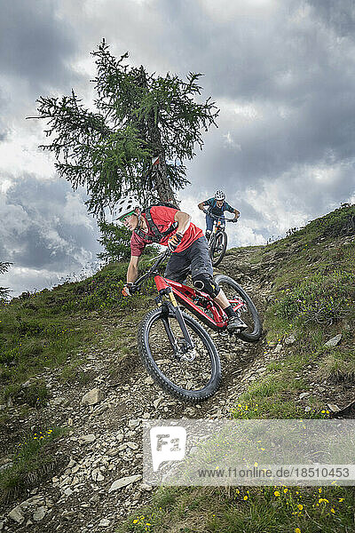 Mountain bikers riding down hill on forest path  Trentino-Alto Adige  Italy