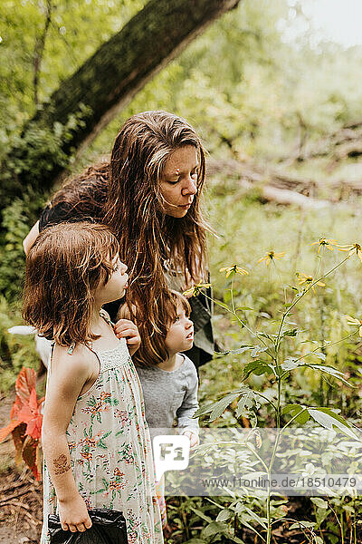 Mother and daughters look at yellow flowers along hiking trail