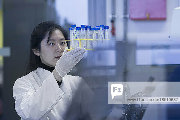 Young female scientist examining test tubes in a laboratory  Freiburg im Breisgau  Baden-Württemberg  Germany
