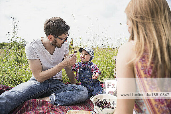Father feeding cherry to his baby boy on meadow in the countryside  Bavaria  Germany