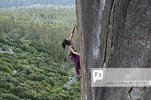 Girl climber reaching up towards the next hold at the diorite pillars of The Organ Pipes  in Mt Wellington  with a thick green forest seen in the background near Hobart  Tasmania.