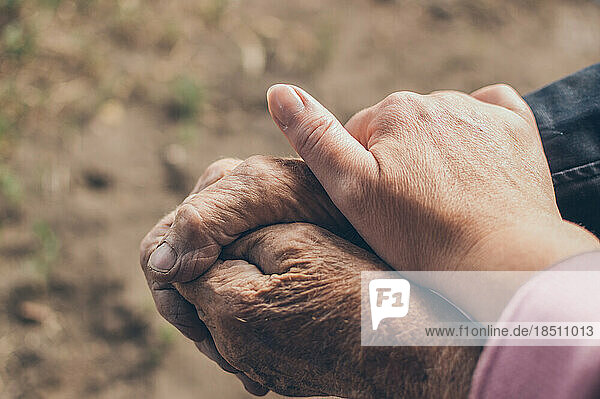 Hands of old grandmother and granddaughter  tenderness and care
