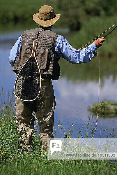 Rear view of a fly-fisherman casting for trout..