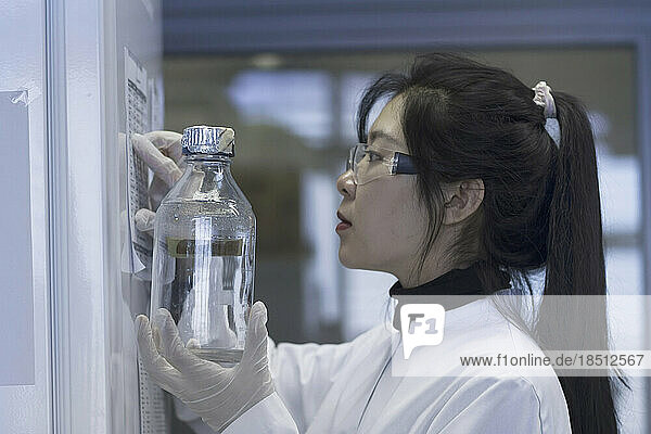 Young female scientist reading notes in a laboratory  Freiburg im Breisgau  Baden-Württemberg  Germany
