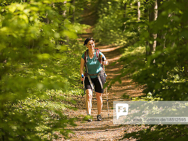 Woman hiking on footpath through forest  Baden-Württemberg  Germany