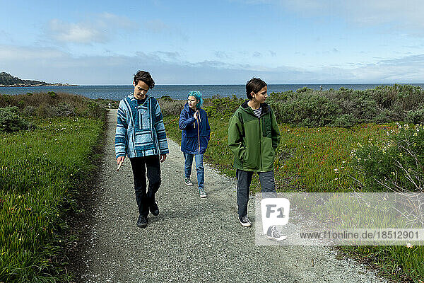 Three Siblings Walk A Path Away From The Coast